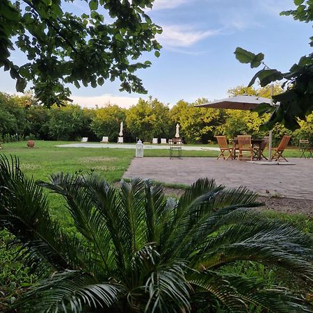 Agriturismo Terre Di Nelio Vignanello Extérieur photo